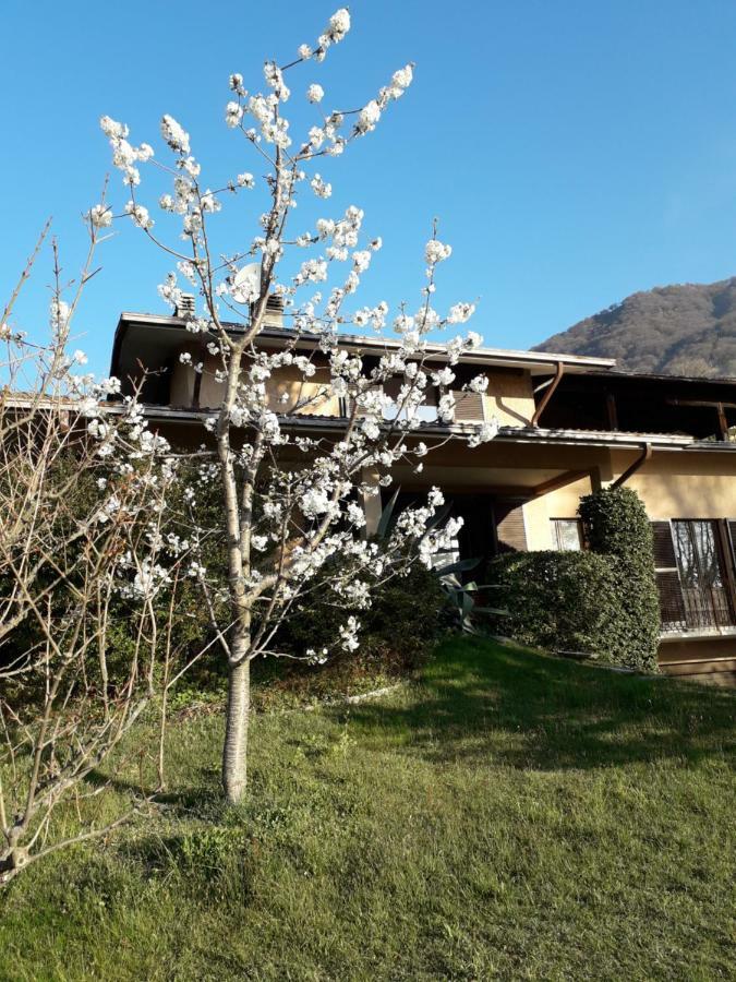 Agriturismo Badalone Domaso Zewnętrze zdjęcie