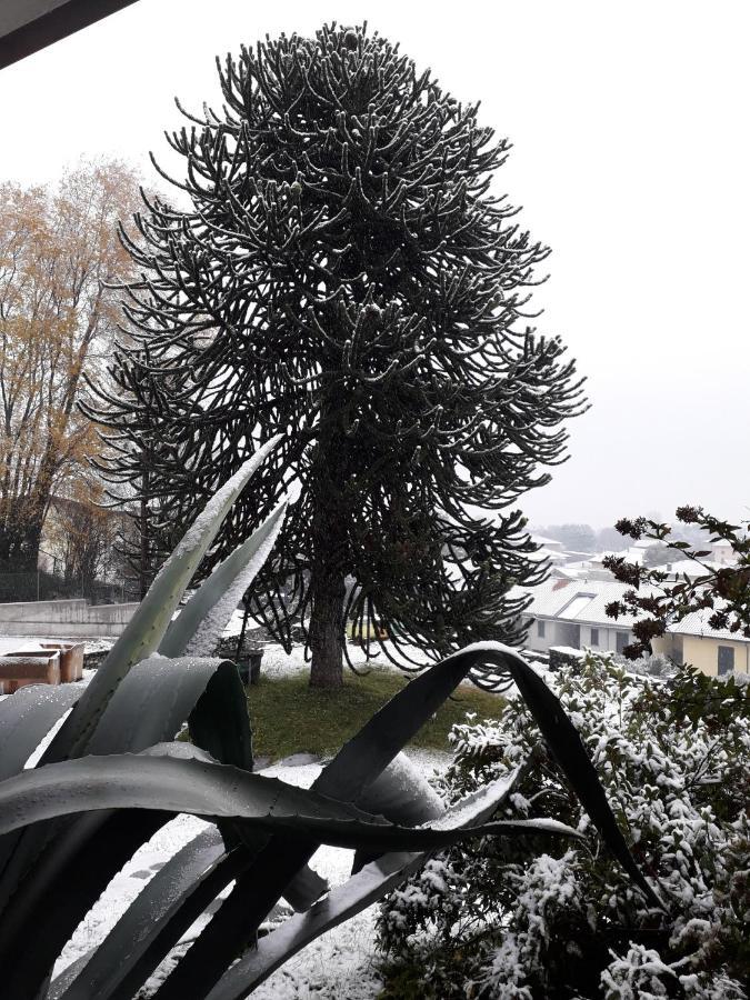 Agriturismo Badalone Domaso Zewnętrze zdjęcie